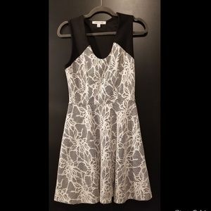 Robbi & Nikki Black Dress with White Lace